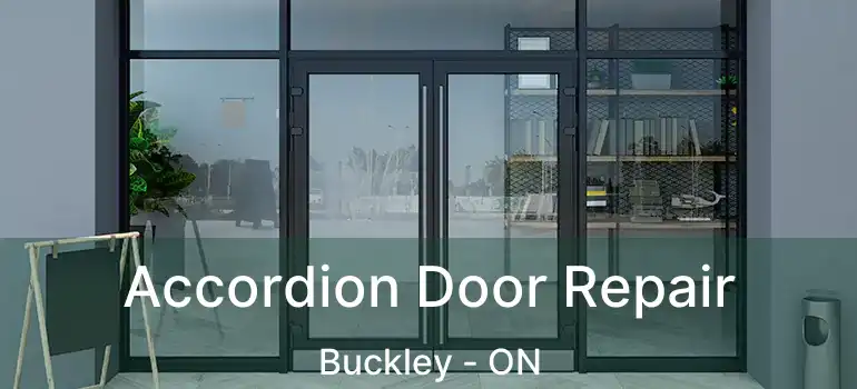 Accordion Door Repair Buckley - ON