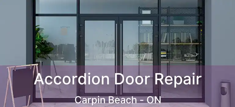  Accordion Door Repair Carpin Beach - ON