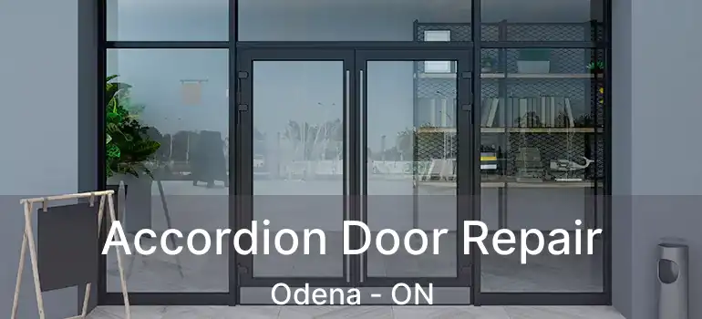  Accordion Door Repair Odena - ON