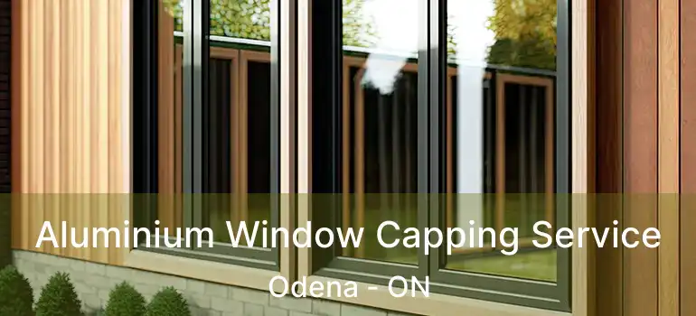  Aluminium Window Capping Service Odena - ON