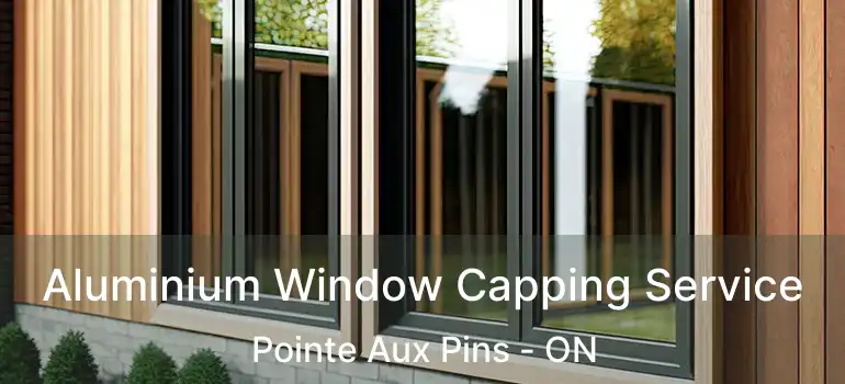  Aluminium Window Capping Service Pointe Aux Pins - ON