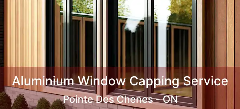  Aluminium Window Capping Service Pointe Des Chenes - ON