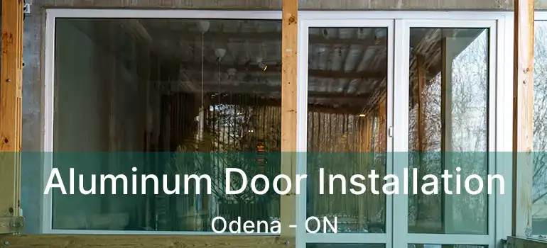  Aluminum Door Installation Odena - ON