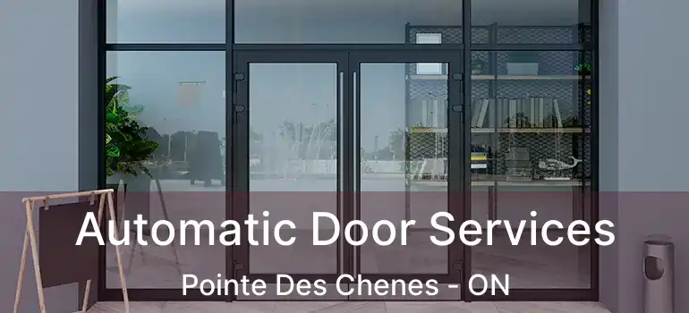  Automatic Door Services Pointe Des Chenes - ON