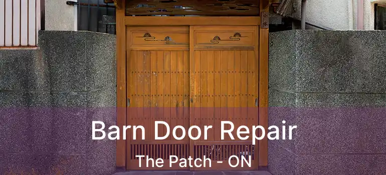  Barn Door Repair The Patch - ON