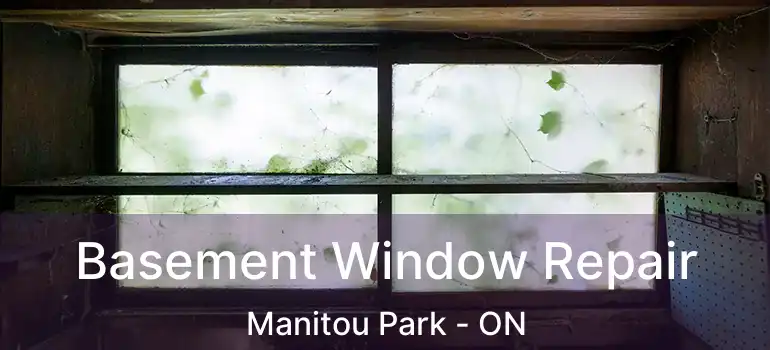  Basement Window Repair Manitou Park - ON
