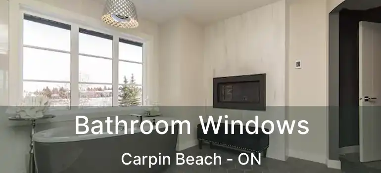  Bathroom Windows Carpin Beach - ON