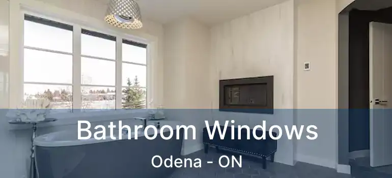  Bathroom Windows Odena - ON