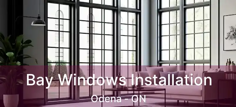  Bay Windows Installation Odena - ON