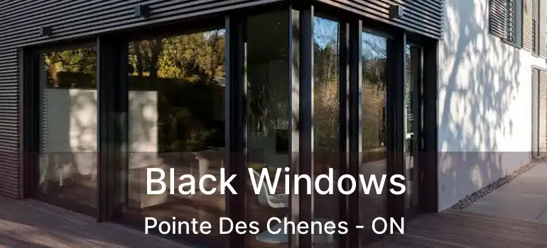  Black Windows Pointe Des Chenes - ON