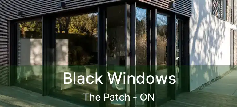  Black Windows The Patch - ON