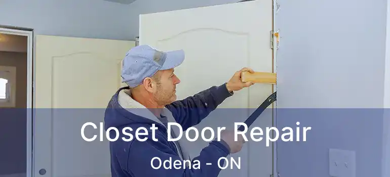  Closet Door Repair Odena - ON
