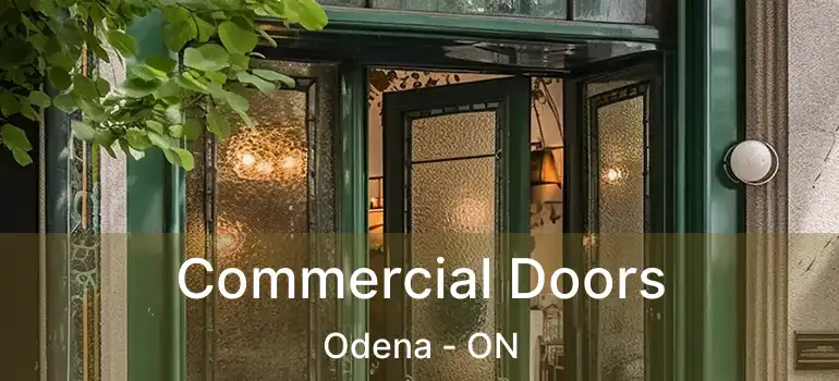  Commercial Doors Odena - ON