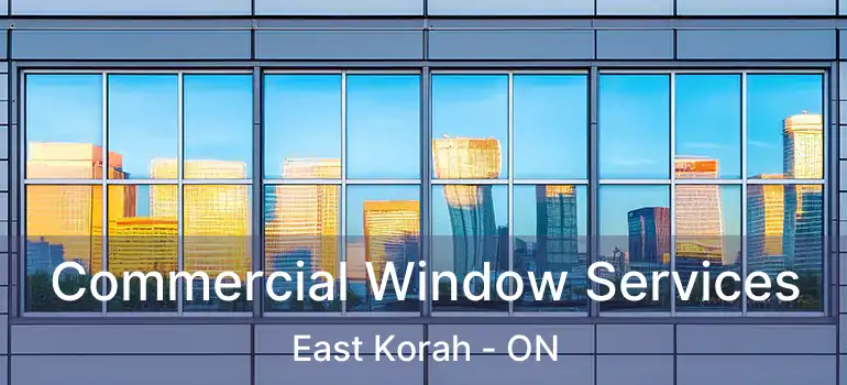  Commercial Window Services East Korah - ON