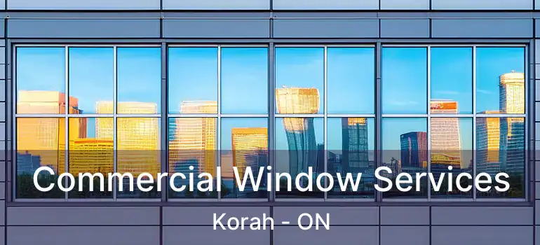  Commercial Window Services Korah - ON