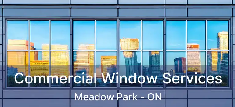  Commercial Window Services Meadow Park - ON