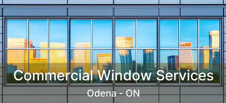  Commercial Window Services Odena - ON