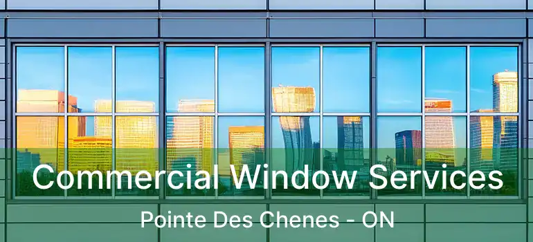  Commercial Window Services Pointe Des Chenes - ON