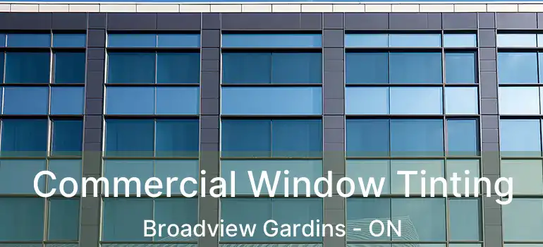 Commercial Window Tinting Broadview Gardins - ON