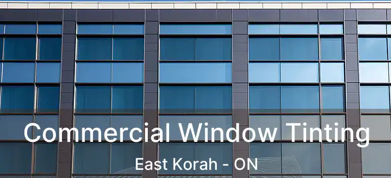  Commercial Window Tinting East Korah - ON