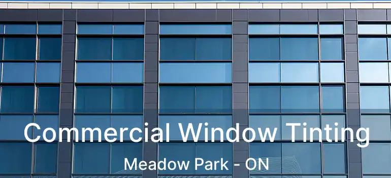  Commercial Window Tinting Meadow Park - ON