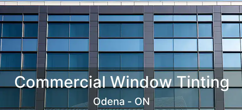 Commercial Window Tinting Odena - ON