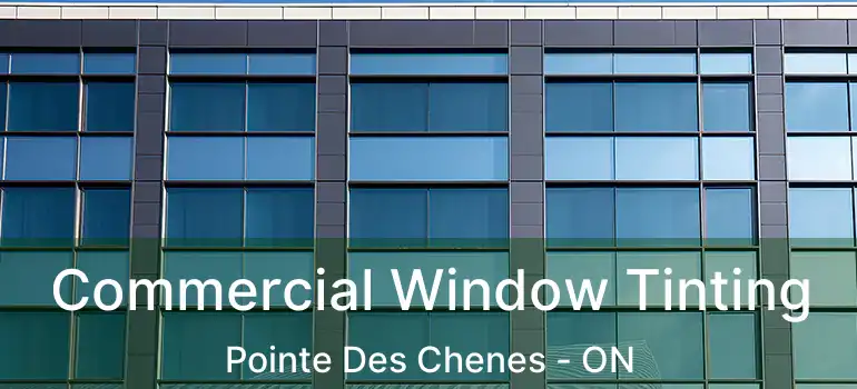  Commercial Window Tinting Pointe Des Chenes - ON