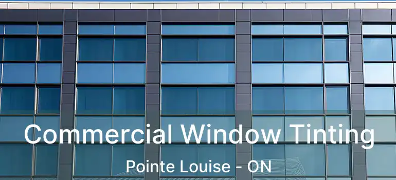  Commercial Window Tinting Pointe Louise - ON
