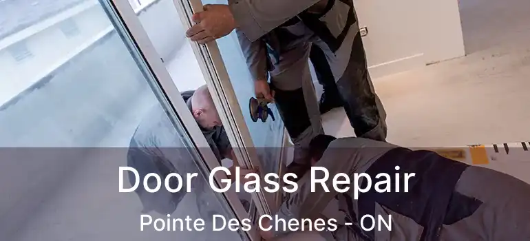  Door Glass Repair Pointe Des Chenes - ON