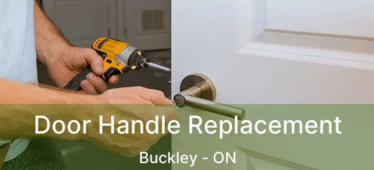  Door Handle Replacement Buckley - ON
