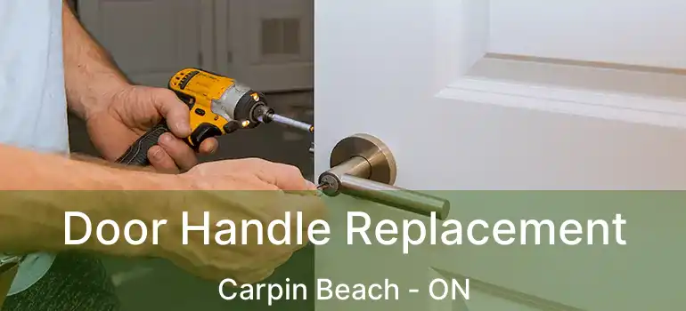  Door Handle Replacement Carpin Beach - ON