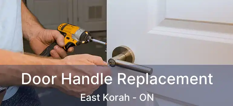  Door Handle Replacement East Korah - ON
