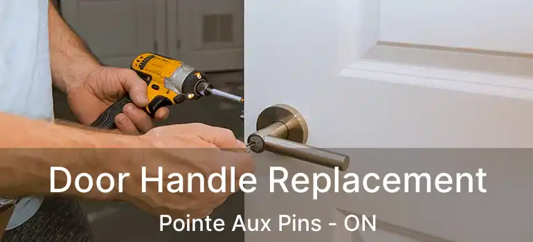  Door Handle Replacement Pointe Aux Pins - ON
