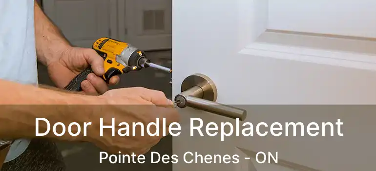  Door Handle Replacement Pointe Des Chenes - ON