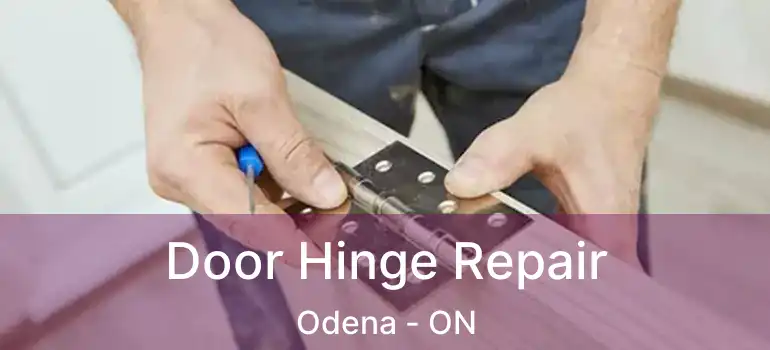  Door Hinge Repair Odena - ON