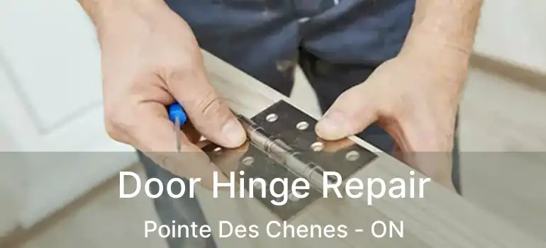  Door Hinge Repair Pointe Des Chenes - ON