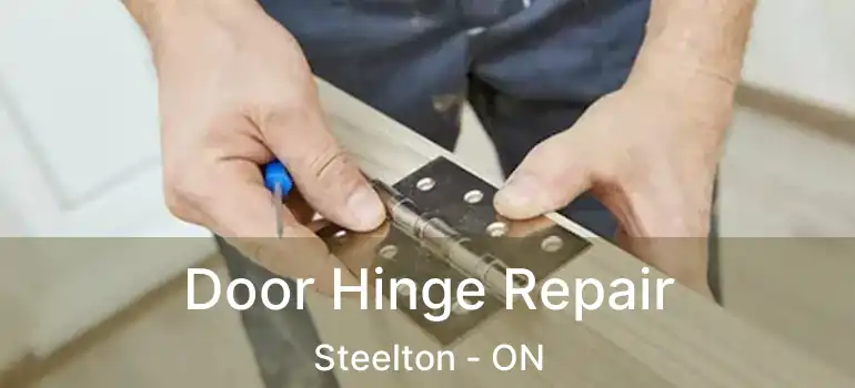  Door Hinge Repair Steelton - ON