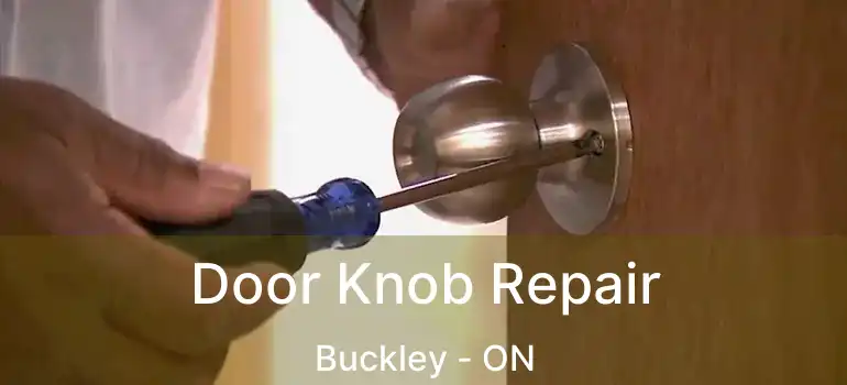  Door Knob Repair Buckley - ON
