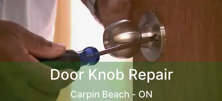  Door Knob Repair Carpin Beach - ON