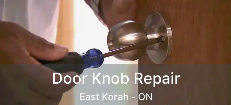  Door Knob Repair East Korah - ON