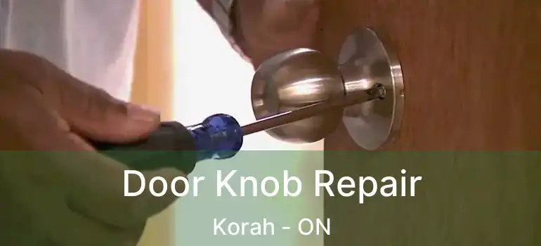  Door Knob Repair Korah - ON