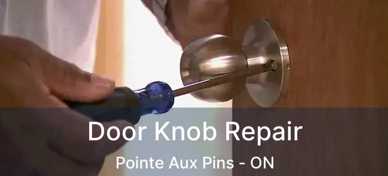  Door Knob Repair Pointe Aux Pins - ON