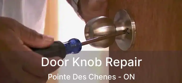  Door Knob Repair Pointe Des Chenes - ON