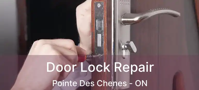 Door Lock Repair Pointe Des Chenes - ON
