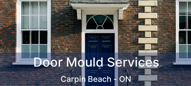  Door Mould Services Carpin Beach - ON