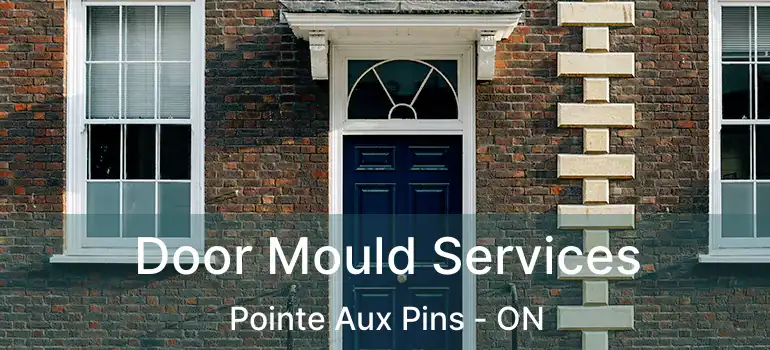  Door Mould Services Pointe Aux Pins - ON