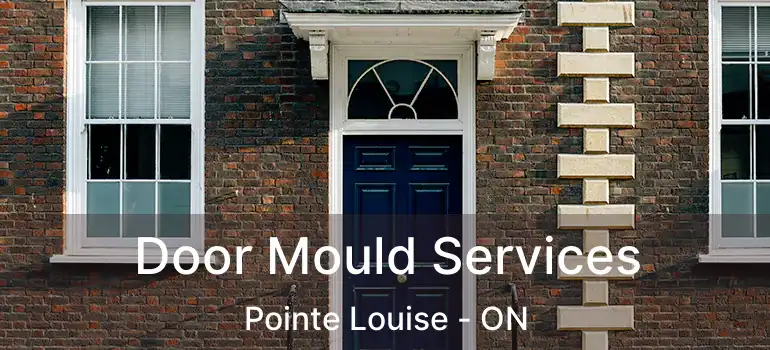  Door Mould Services Pointe Louise - ON
