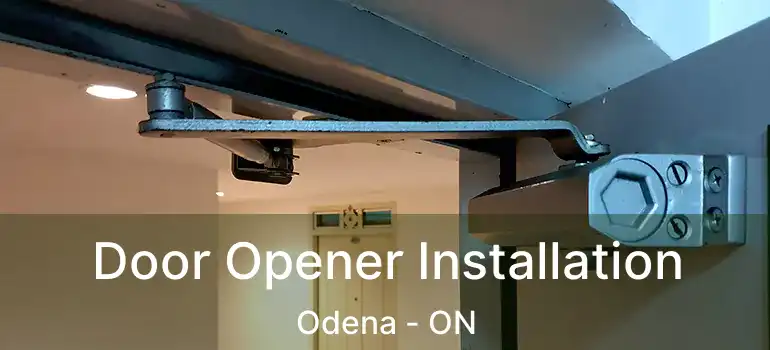 Door Opener Installation Odena - ON