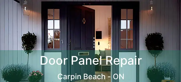 Door Panel Repair Carpin Beach - ON