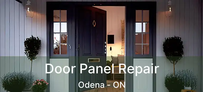  Door Panel Repair Odena - ON
